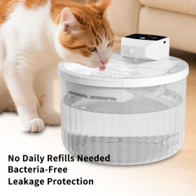 pet  water dispenser, every bite is fresh mountain spring (Option: 43665479)